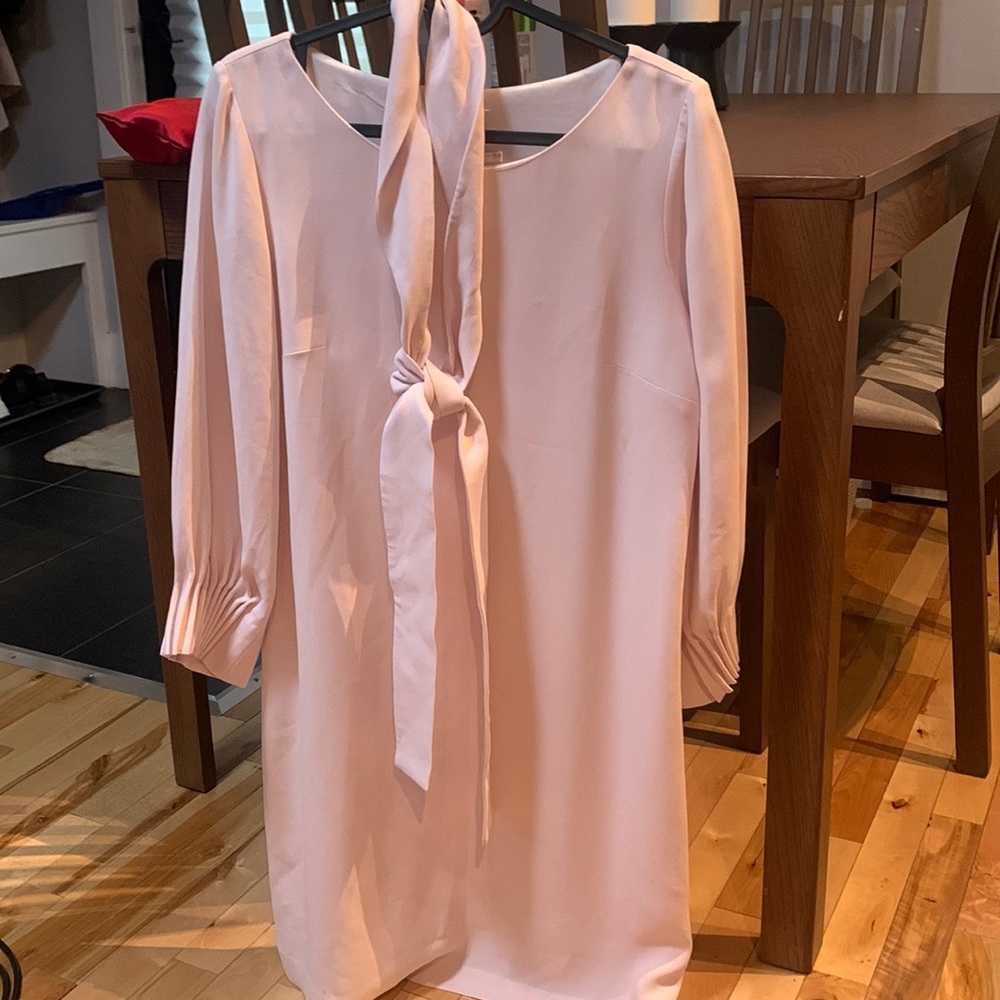 Club Monaco light pink shift dress sz 2